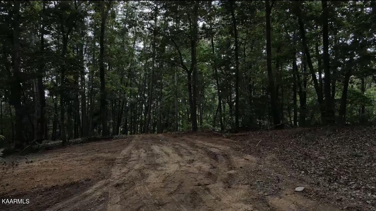 Lot 4 6 Mile Rd