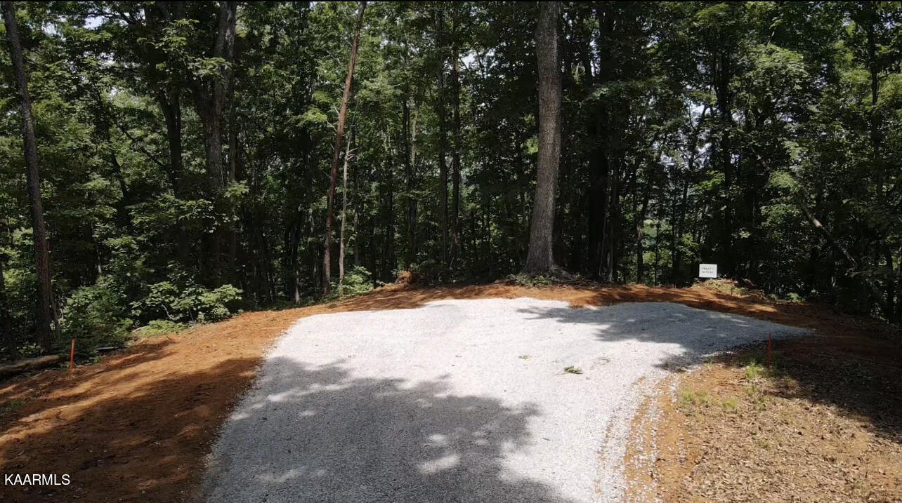 Lot 7 6 Mile Rd