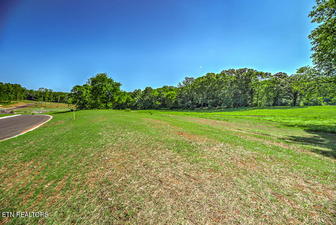 Lot20 1012 Sophie Drive