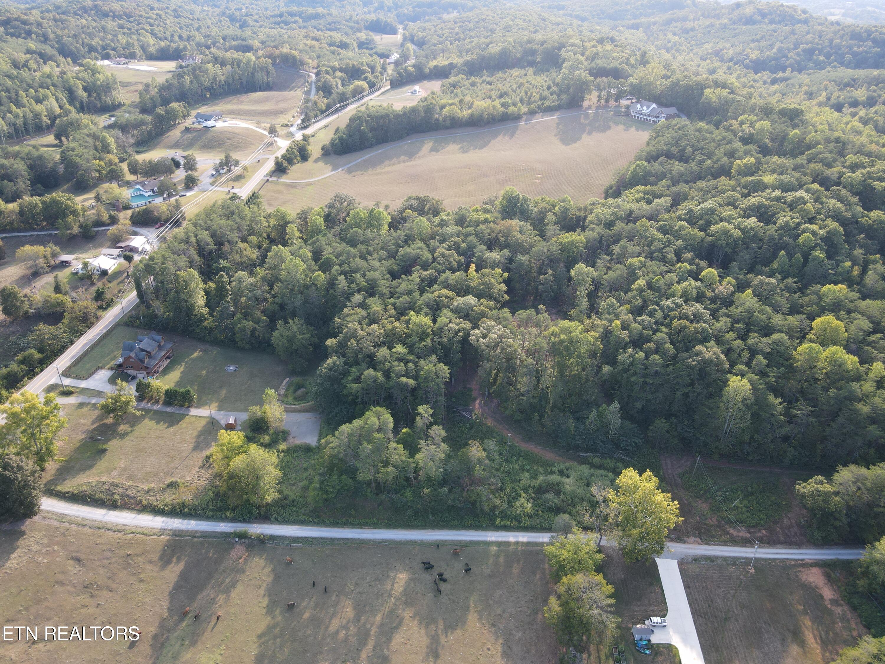 3321 Boone Docks Way