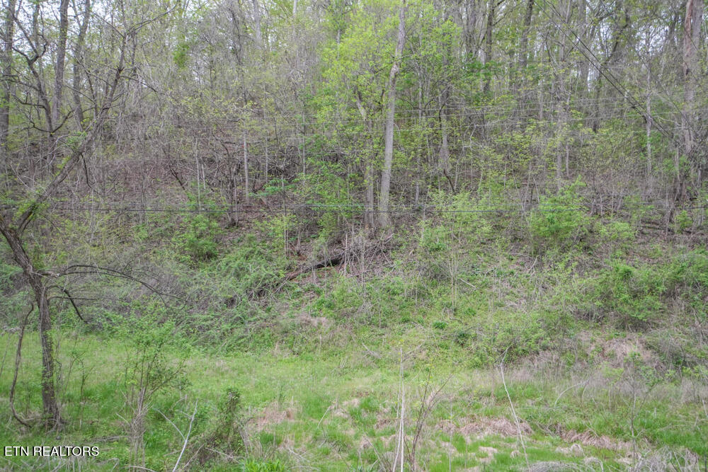 270 Smokey Rd