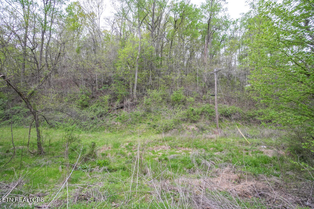 270 Smokey Rd