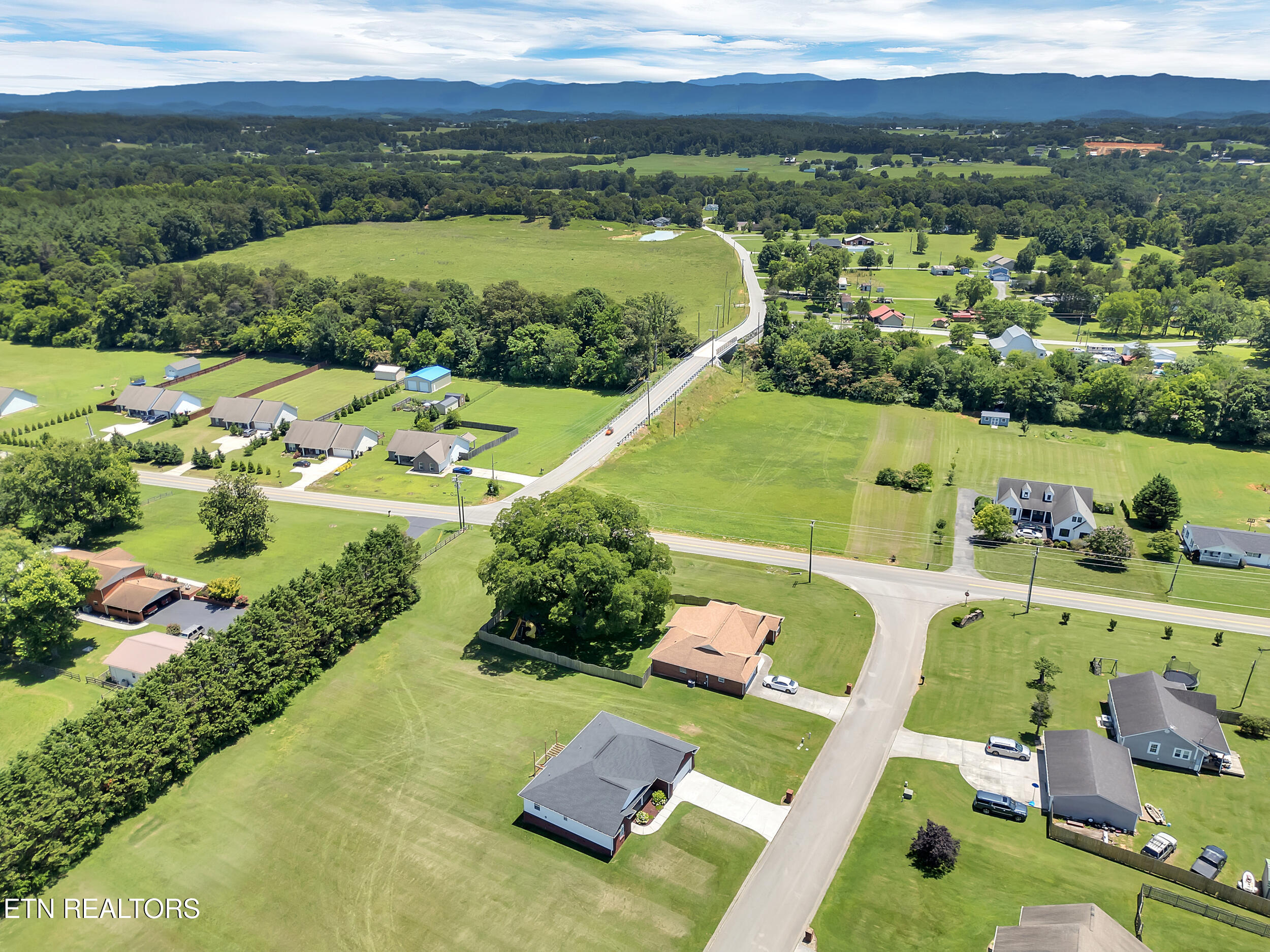 910 Mossy Grove Ln Lane
