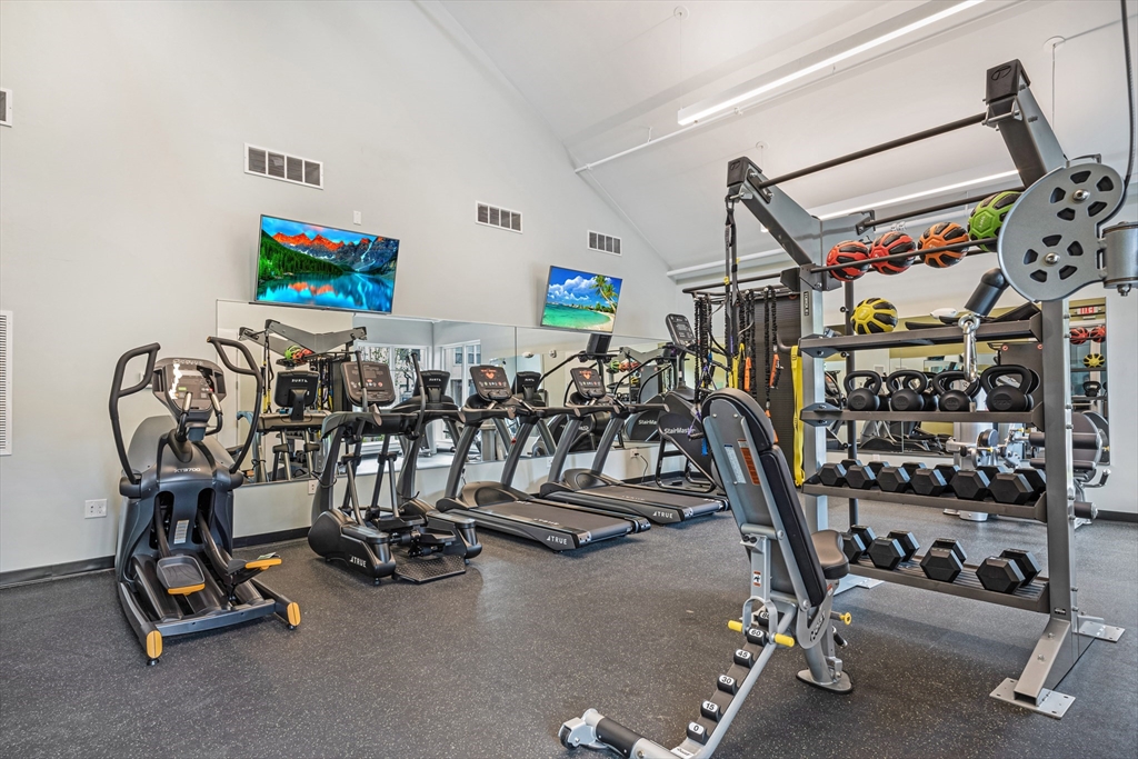 7 Finch Street # 7