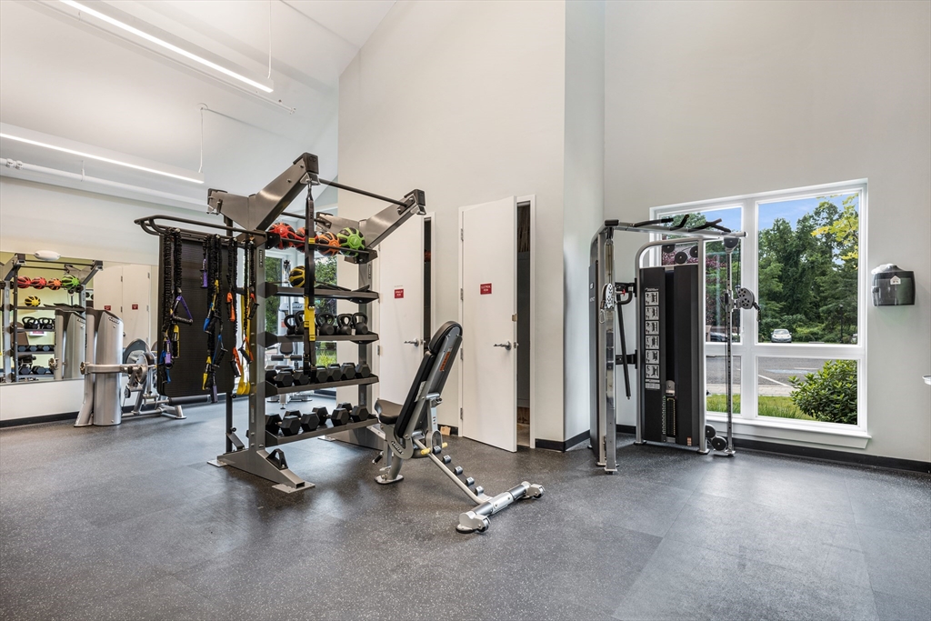 7 Finch Street # 7