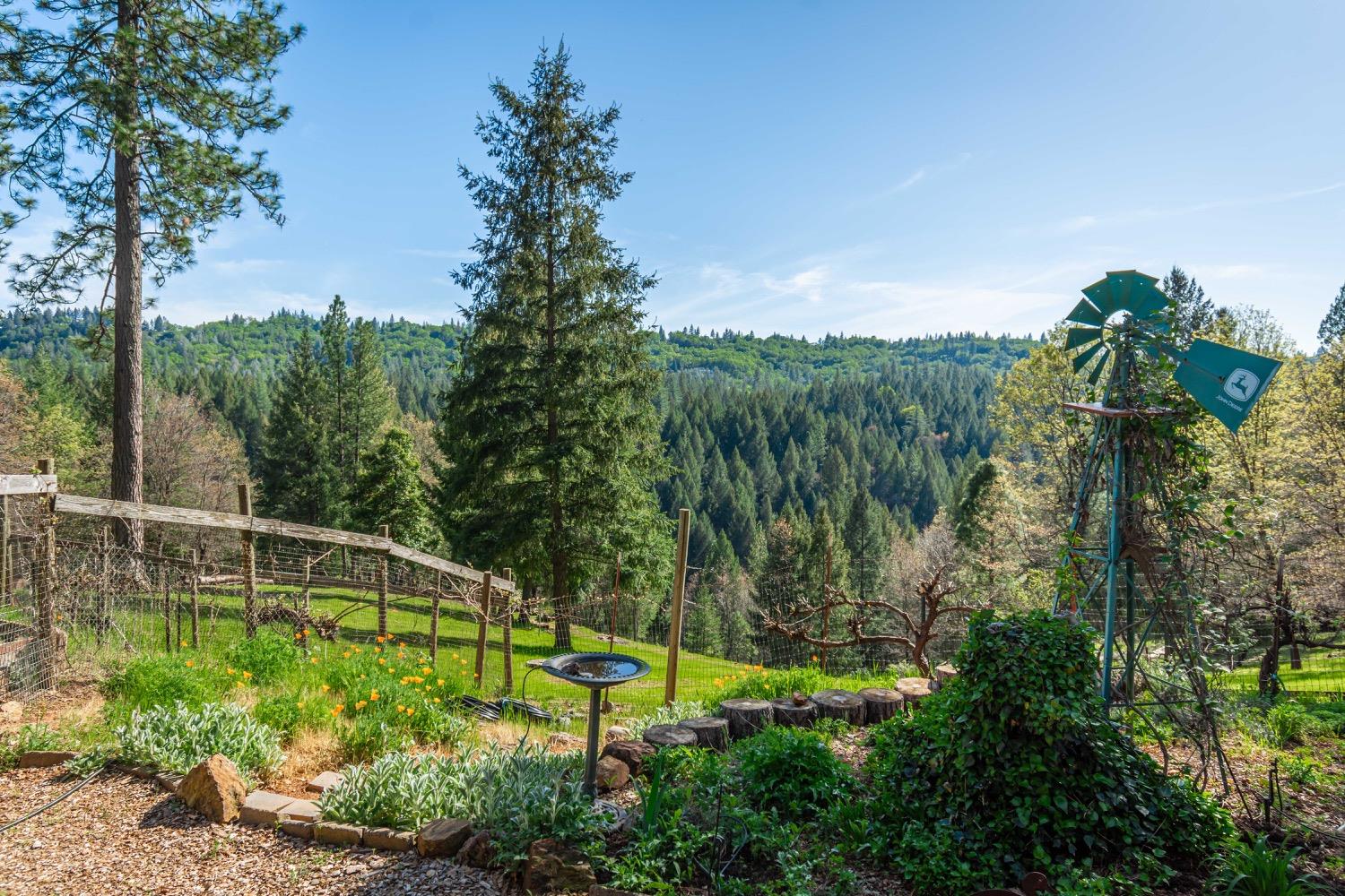 3118 Harmony Hill Road