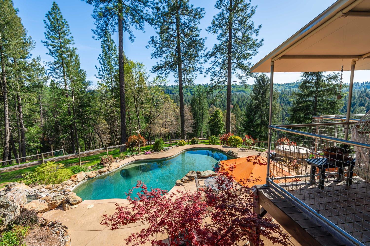 3118 Harmony Hill Road