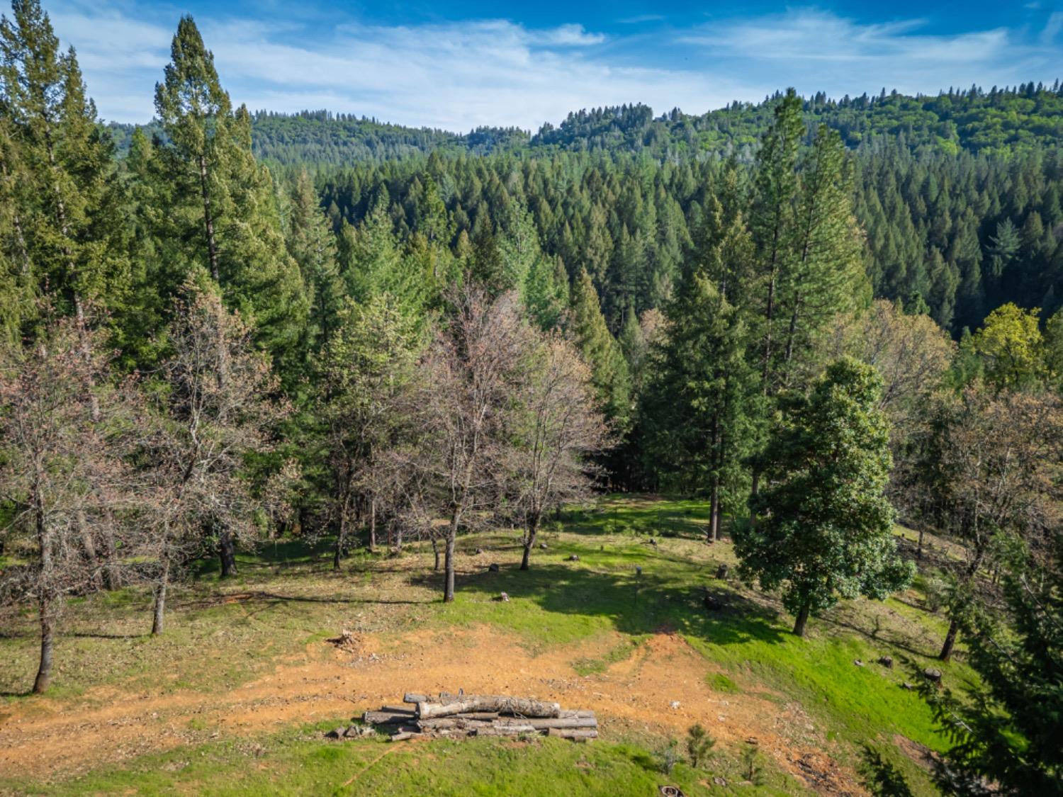 3118 Harmony Hill Road