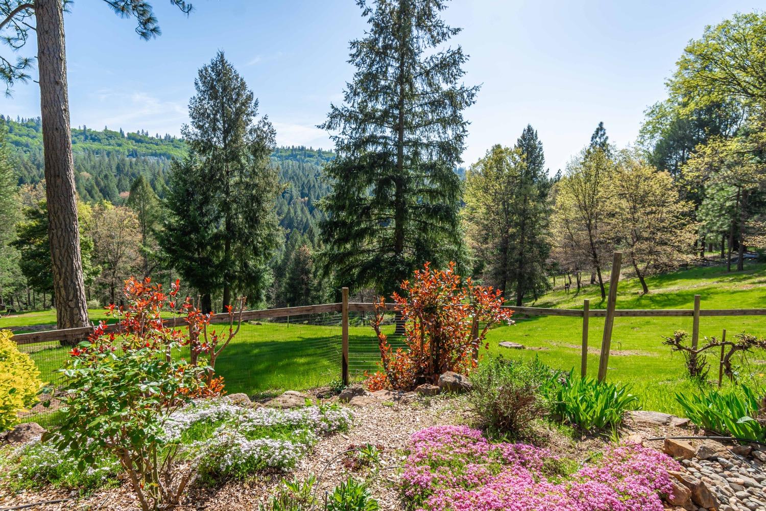 3118 Harmony Hill Road