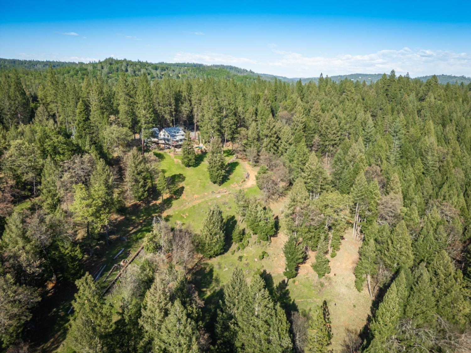 3118 Harmony Hill Road