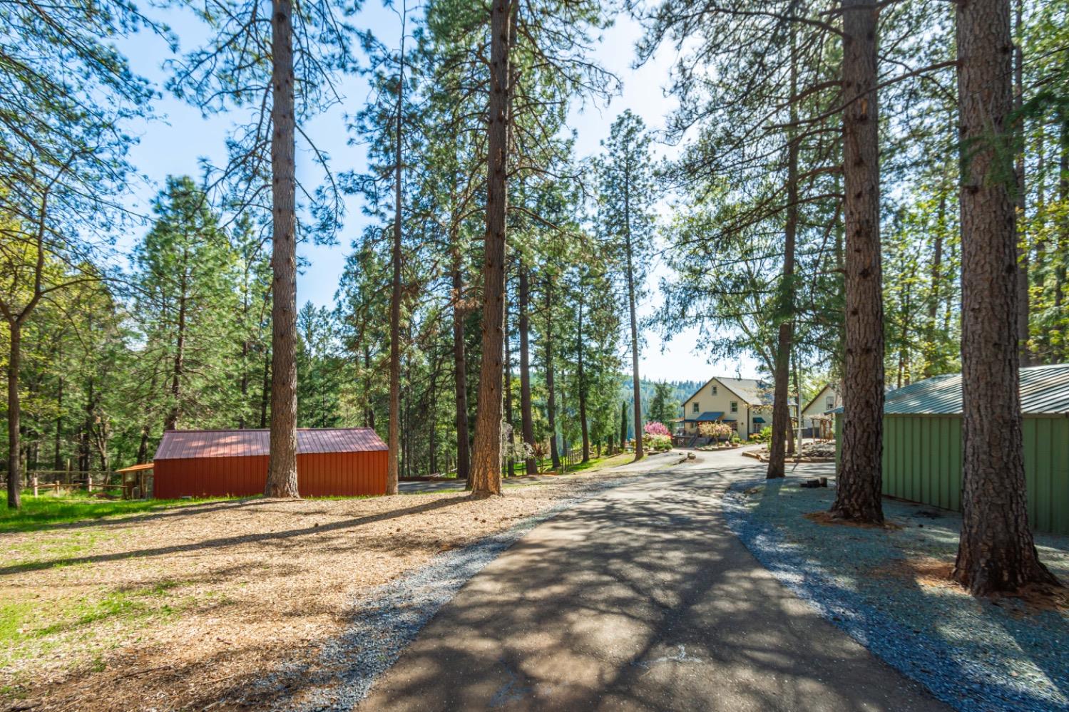 3118 Harmony Hill Road