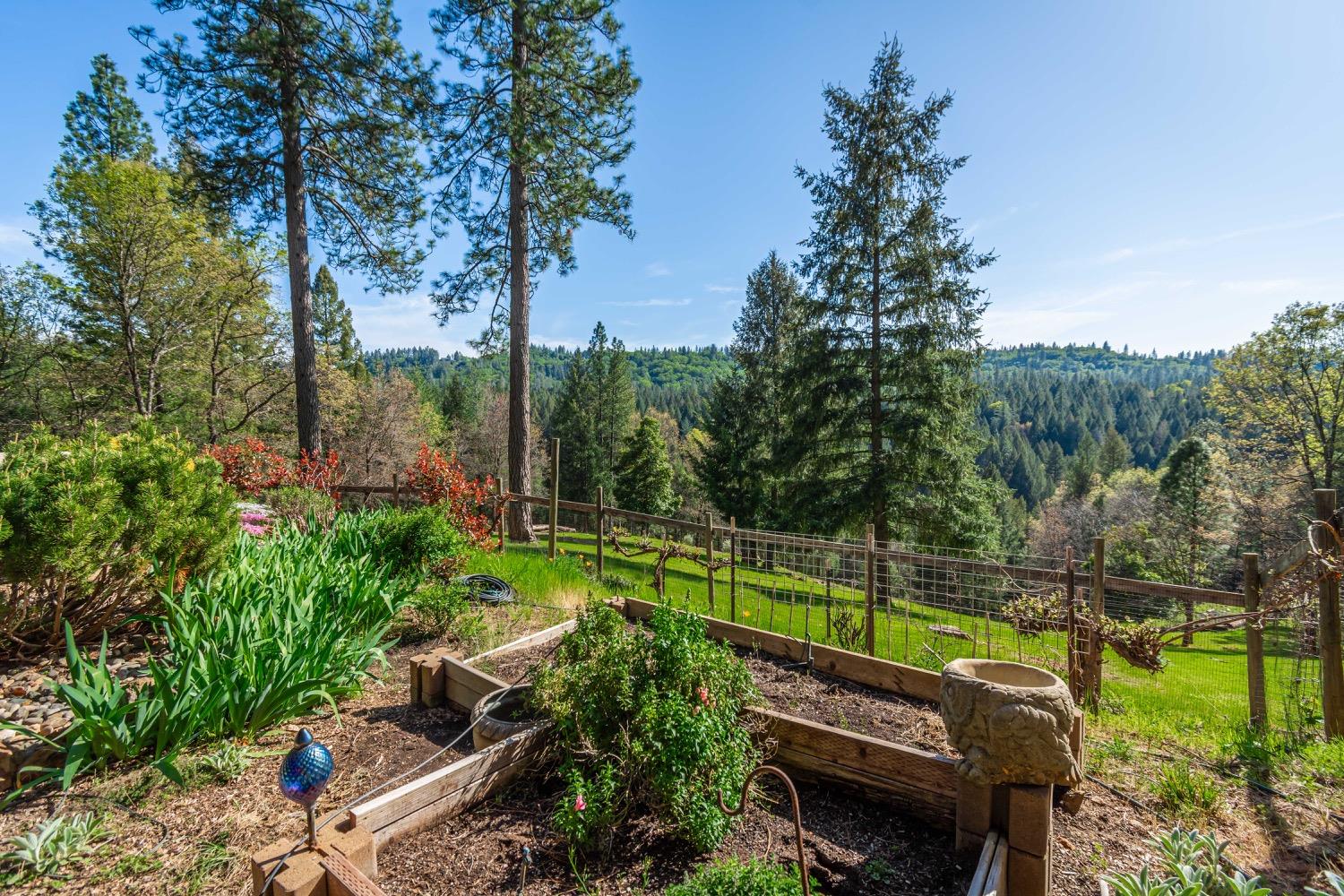 3118 Harmony Hill Road