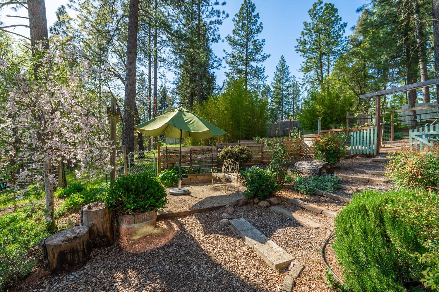 3118 Harmony Hill Road