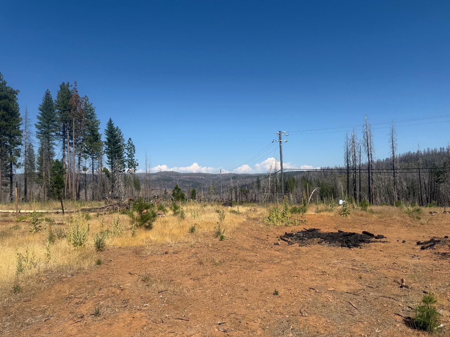 9981 Grizzly Flat Road