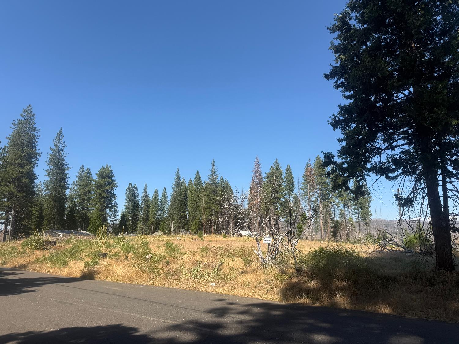 9981 Grizzly Flat Road