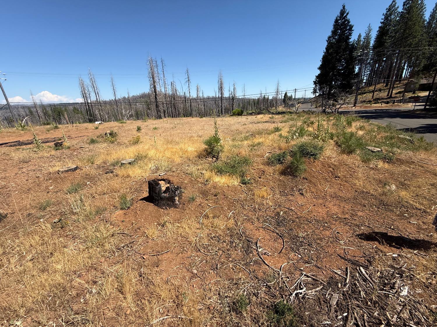 9981 Grizzly Flat Road