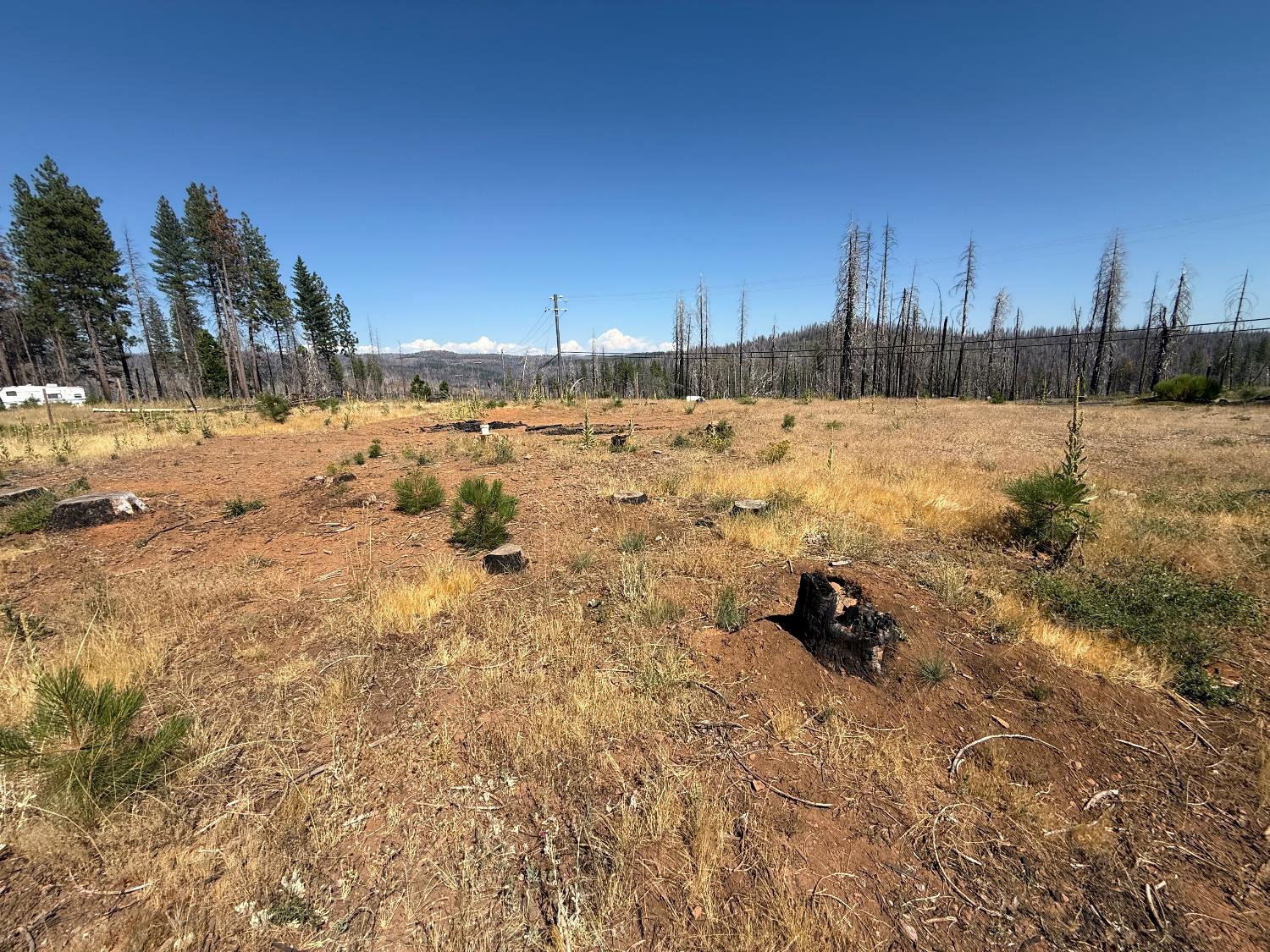 9981 Grizzly Flat Road