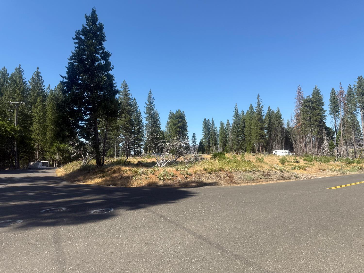 9981 Grizzly Flat Road