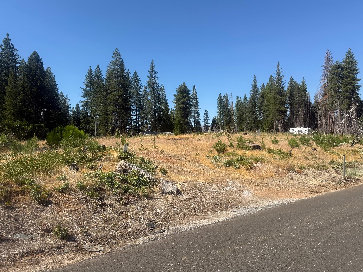 9981 Grizzly Flat Road
