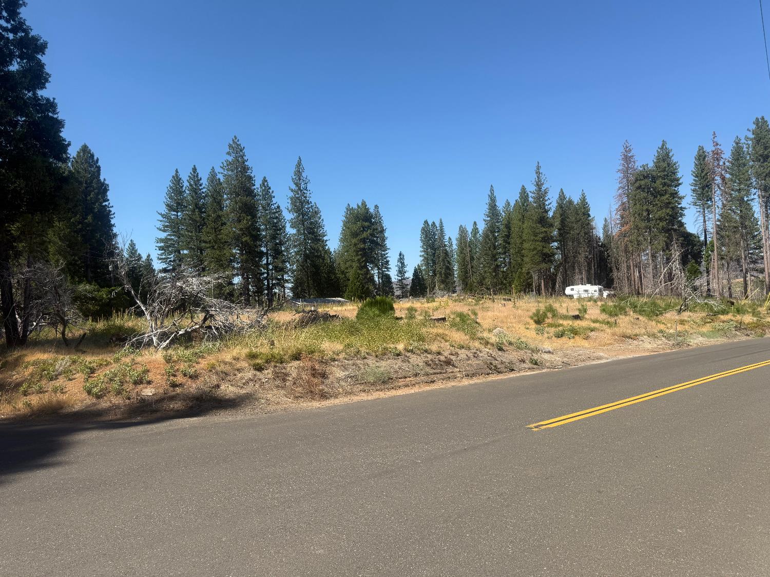 9981 Grizzly Flat Road