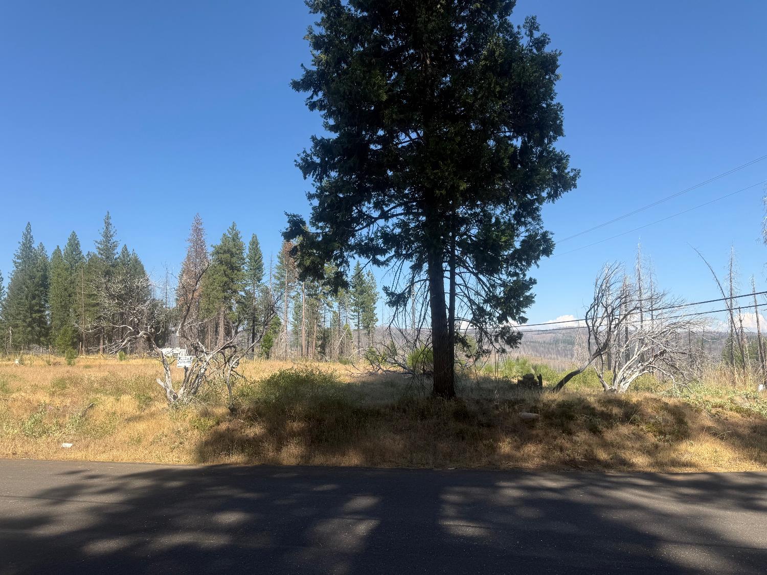 9981 Grizzly Flat Road