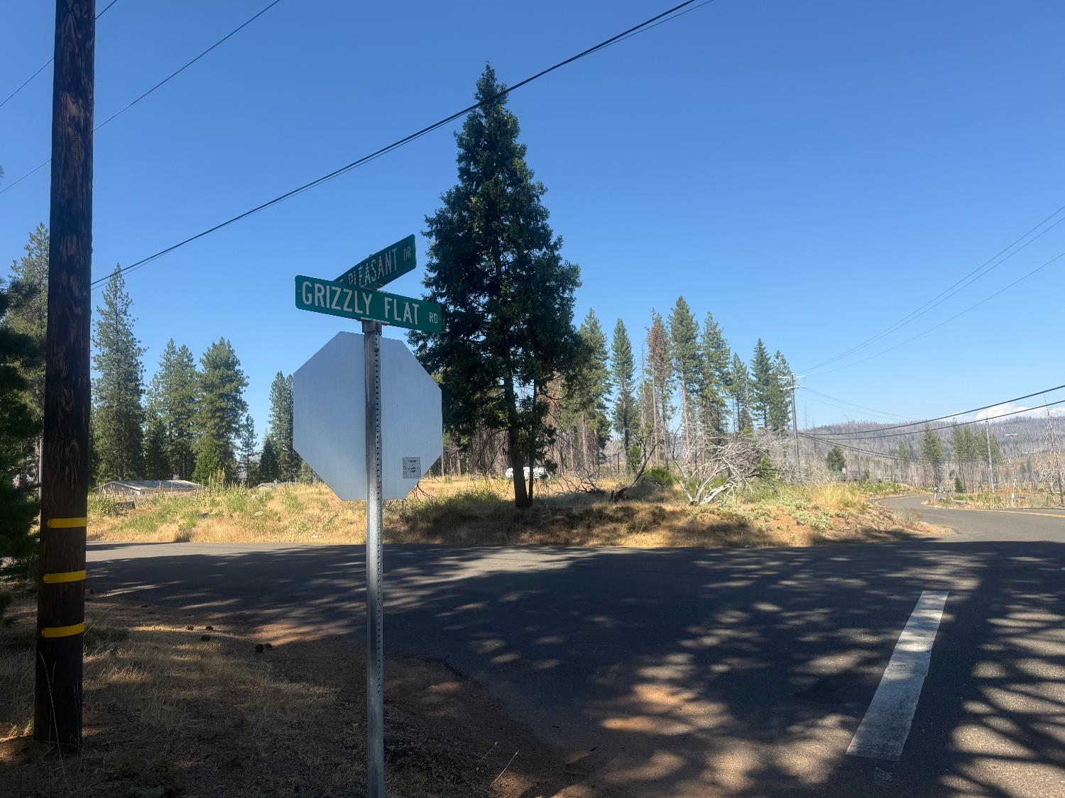 9981 Grizzly Flat Road