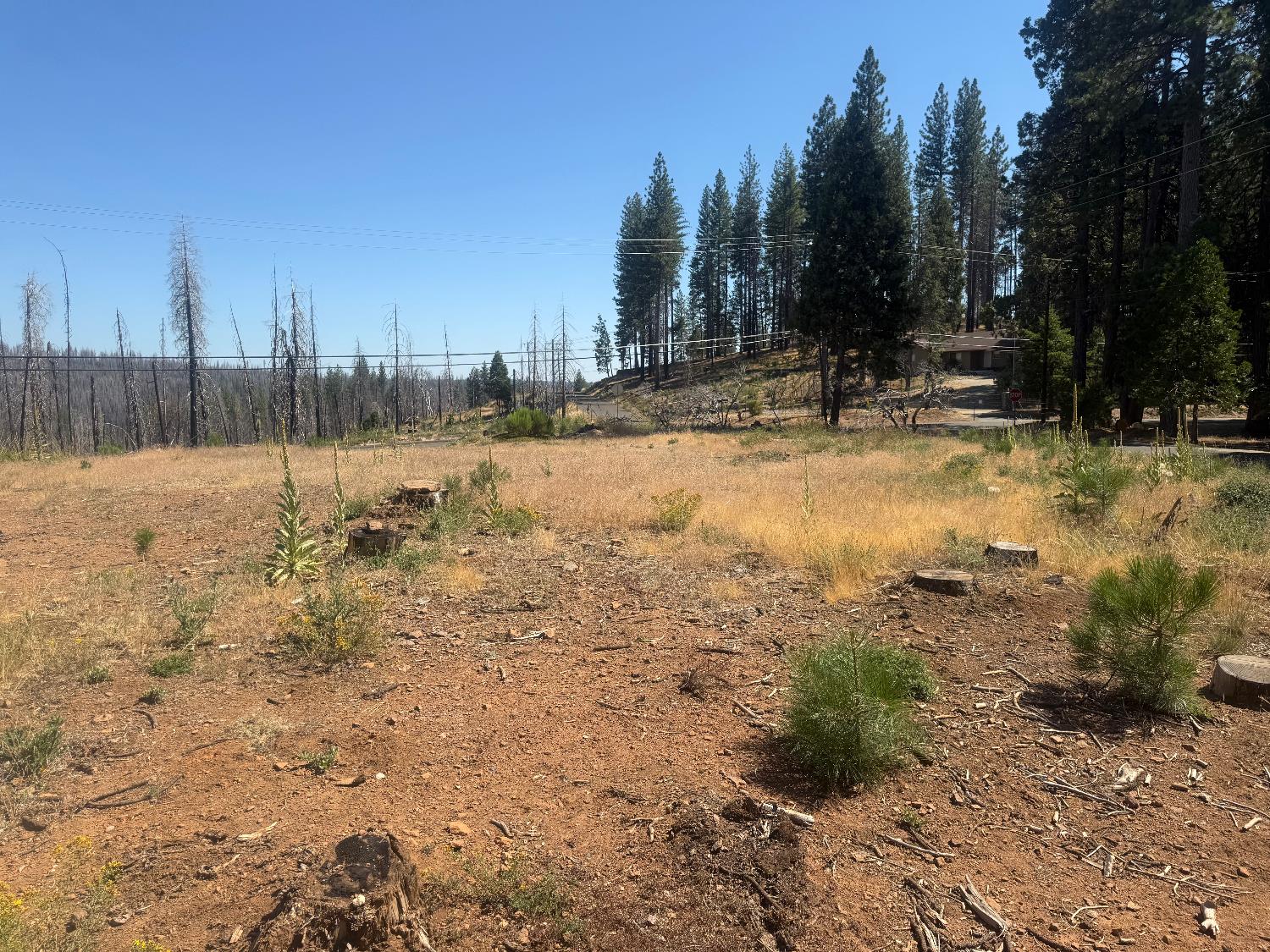 9981 Grizzly Flat Road