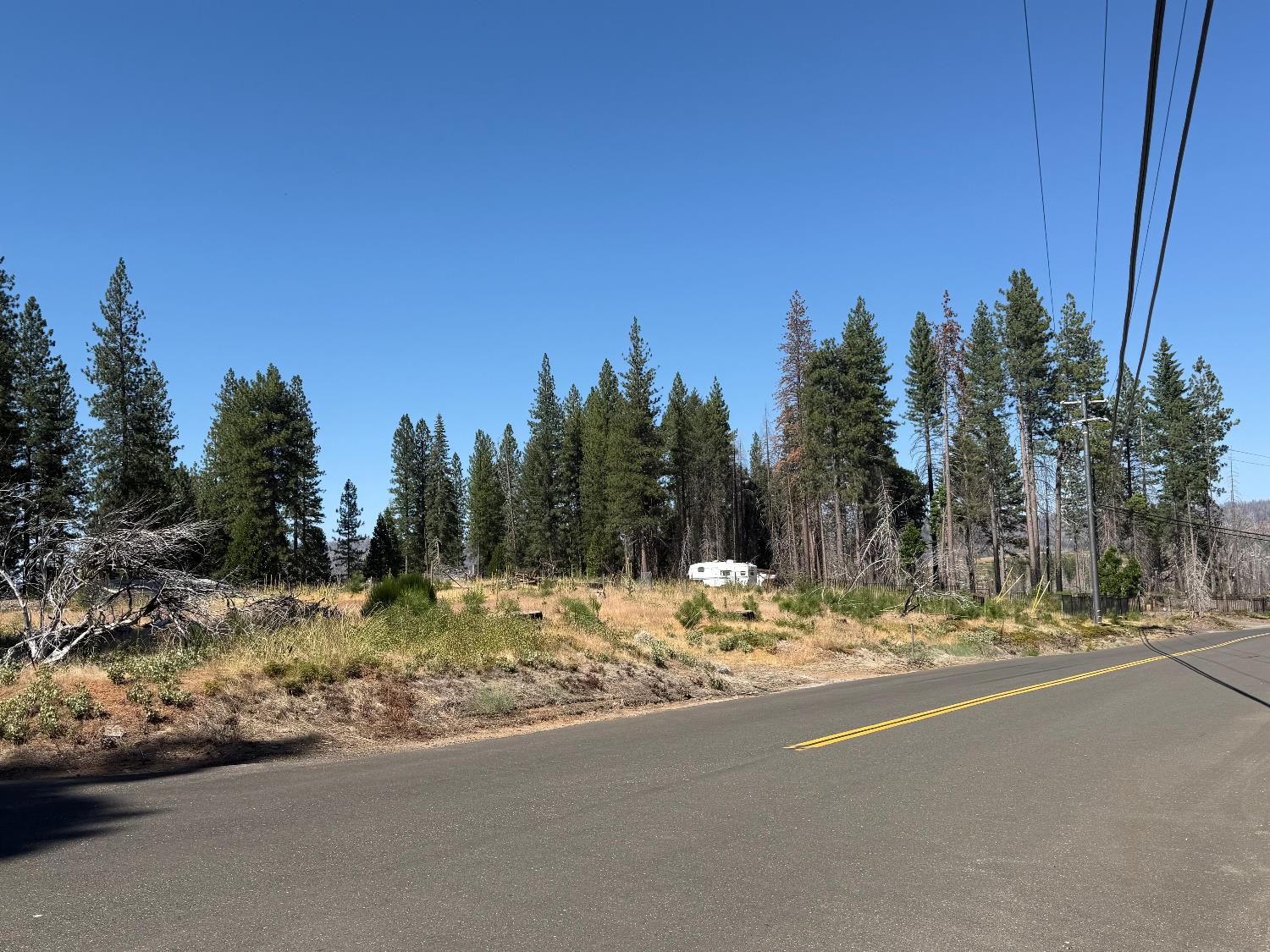 9981 Grizzly Flat Road