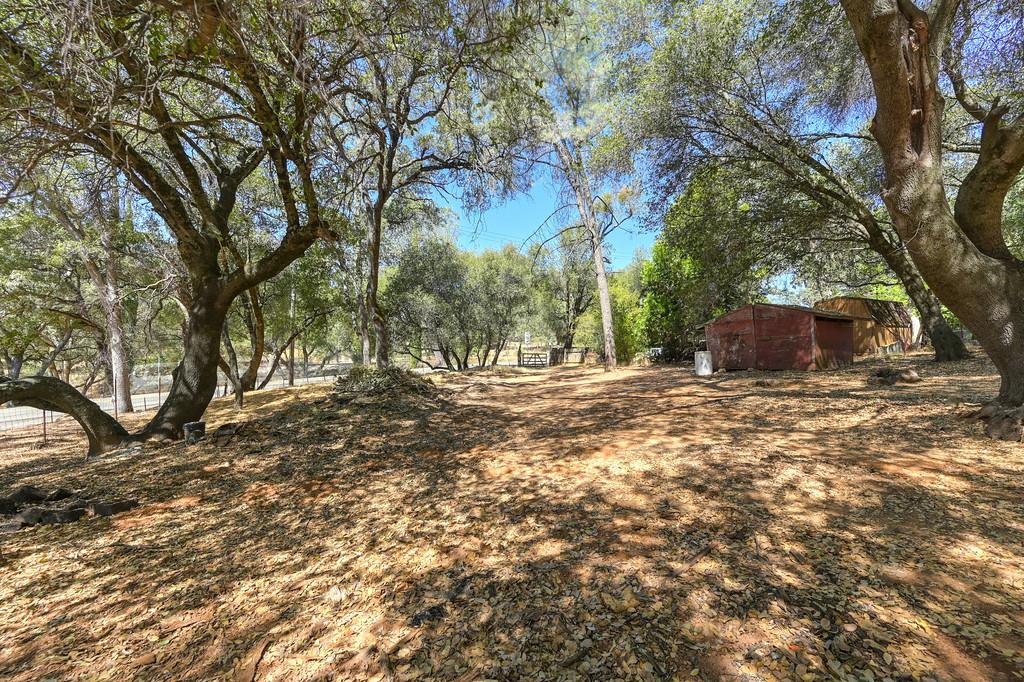 4013 Bright Court