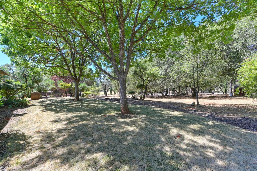 4013 Bright Court
