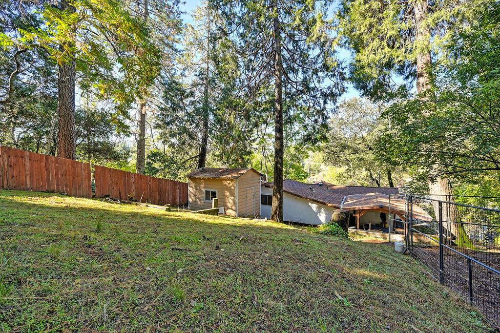 2977 Mosquito Road
