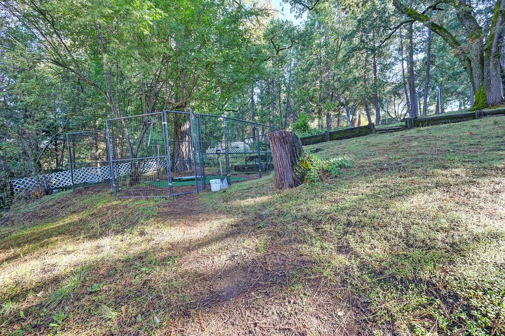 2977 Mosquito Road