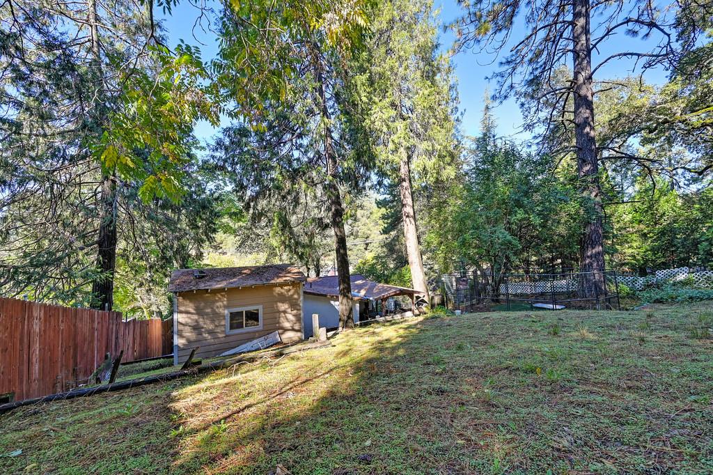 2977 Mosquito Road