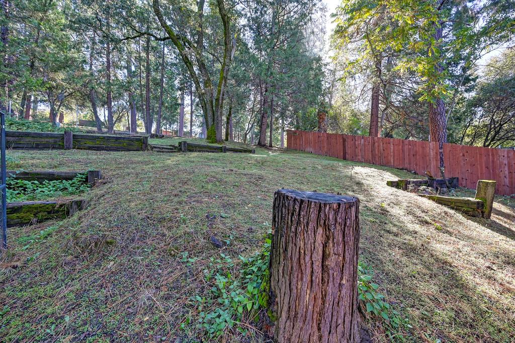 2977 Mosquito Road