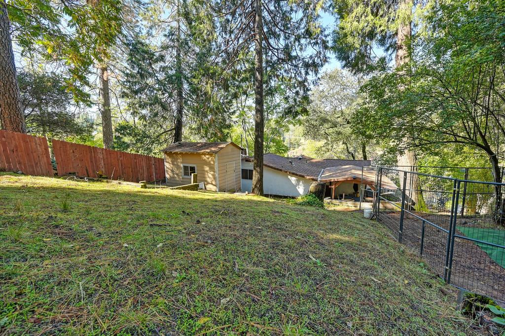 2977 Mosquito Road