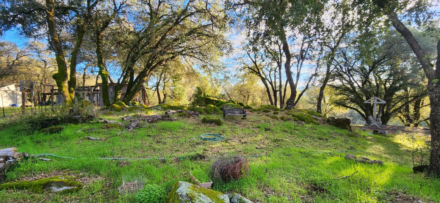 4656 Cosumnes View Trail