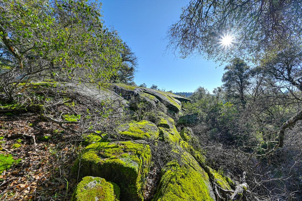 4656 Cosumnes View Trail