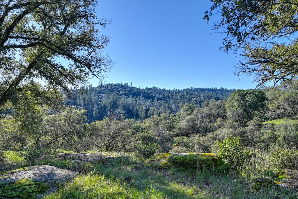 4656 Cosumnes View Trail