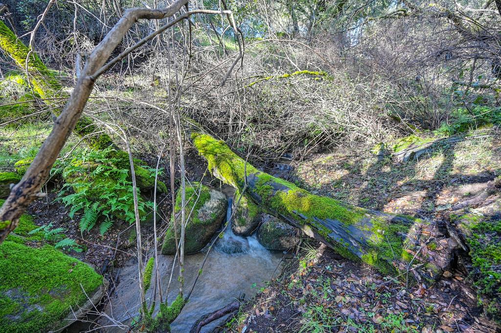 4656 Cosumnes View Trail