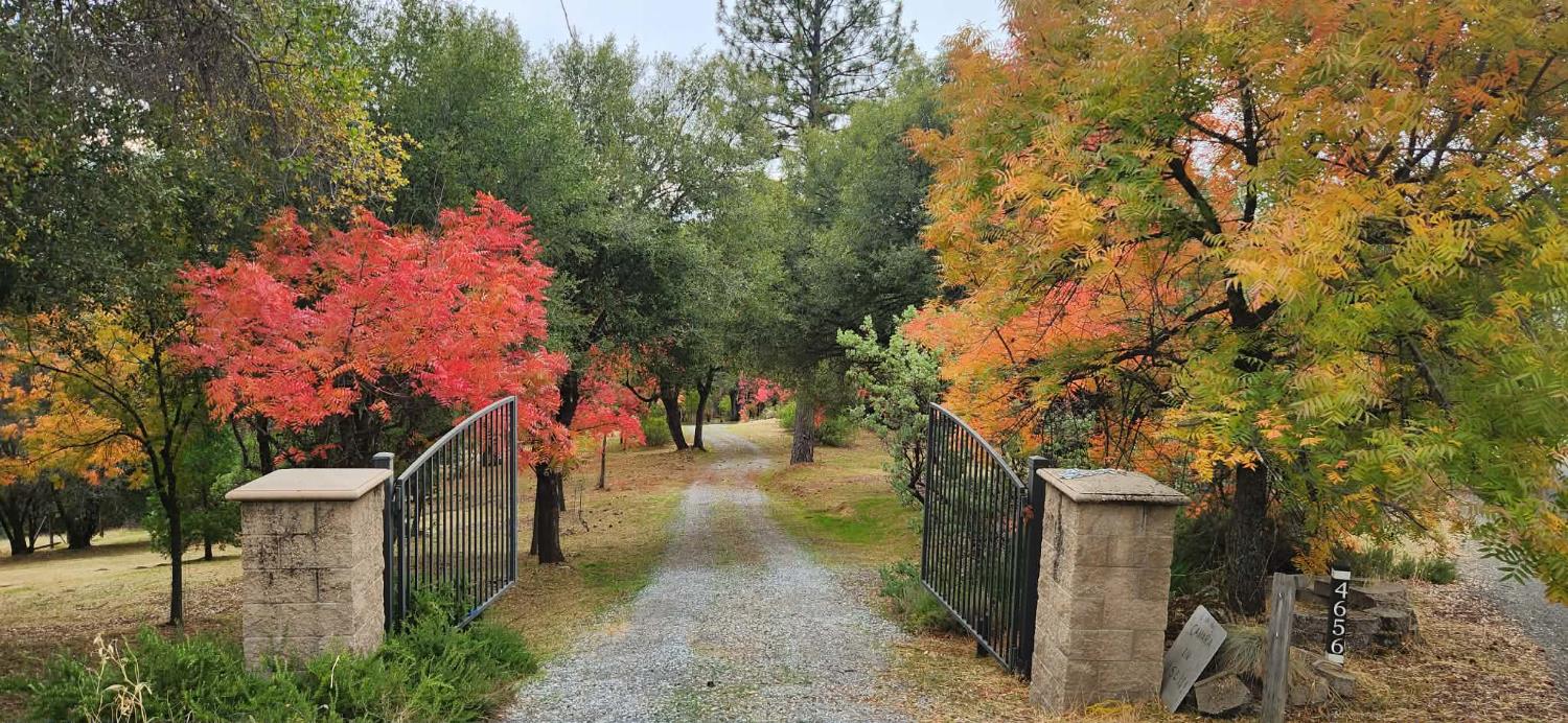 4656 Cosumnes View Trail