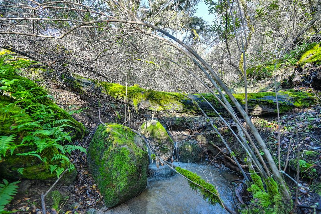 4656 Cosumnes View Trail