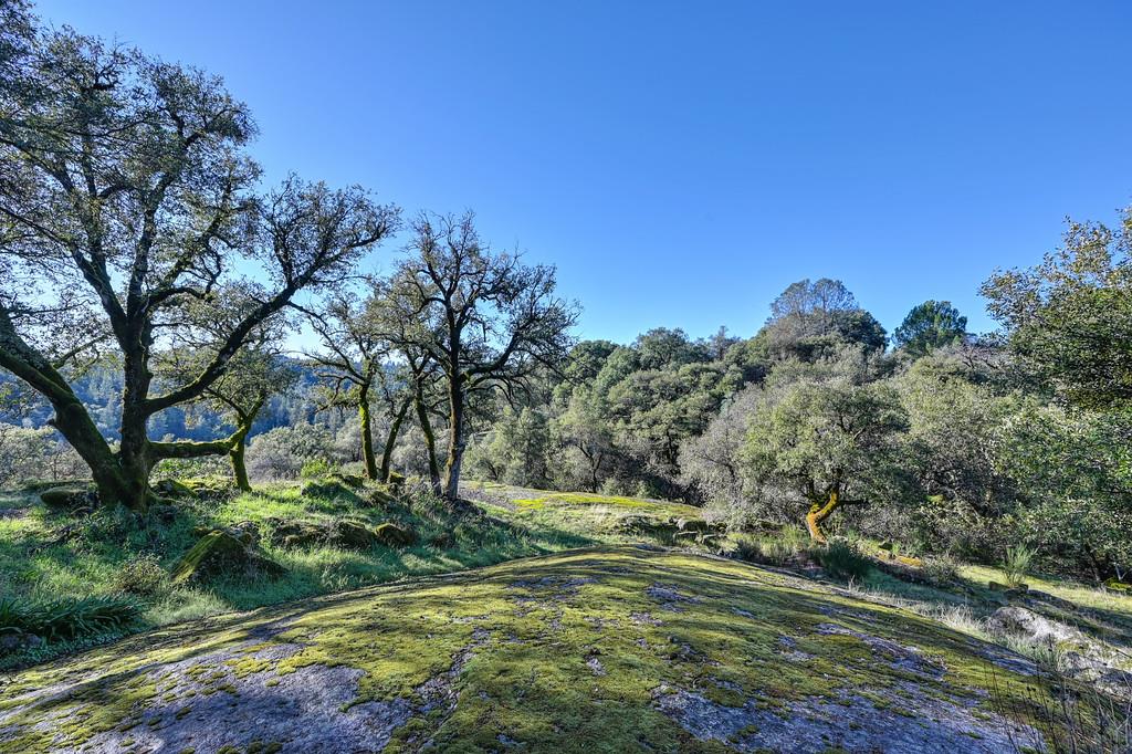 4656 Cosumnes View Trail