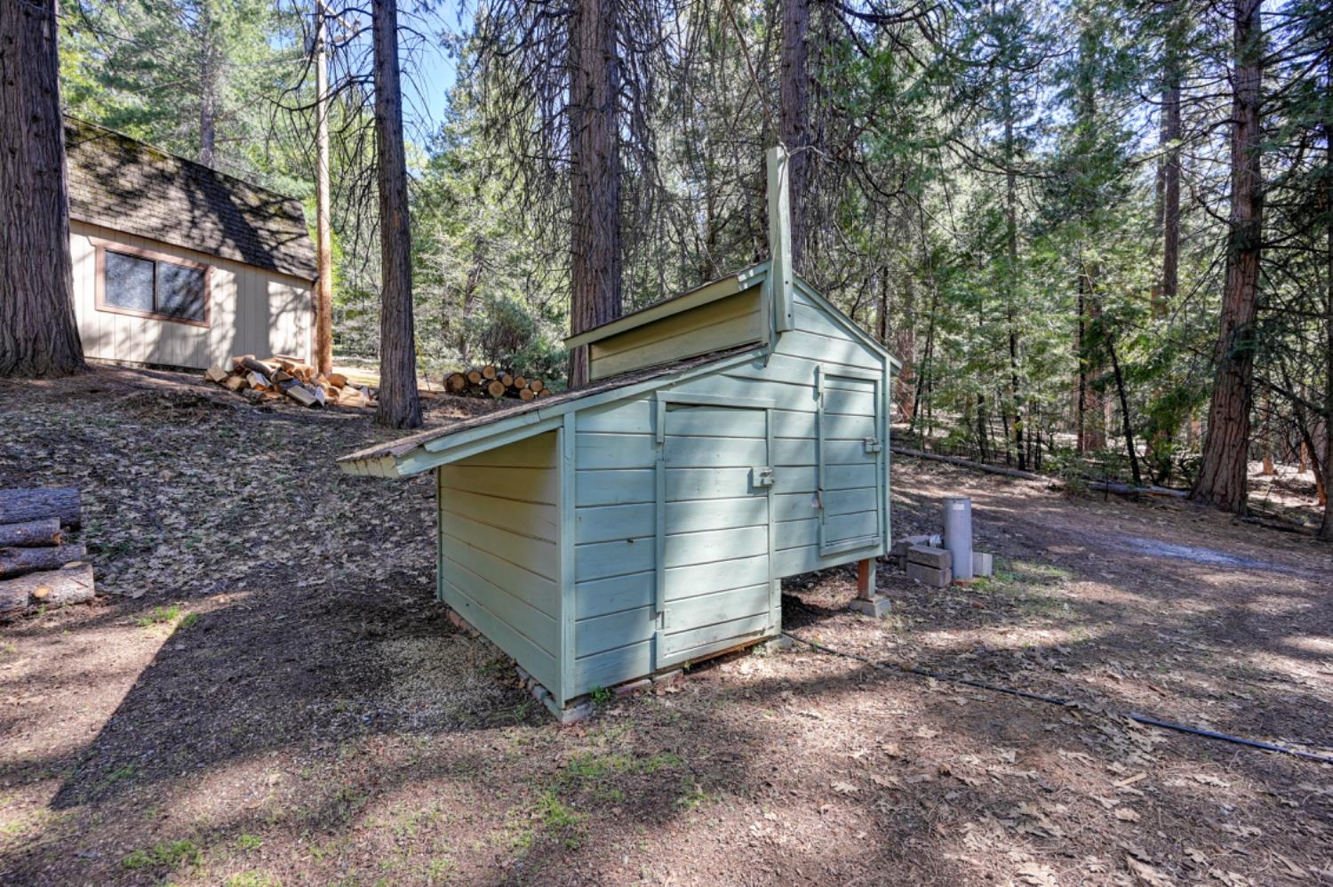 1961 Caprine Hill Trail