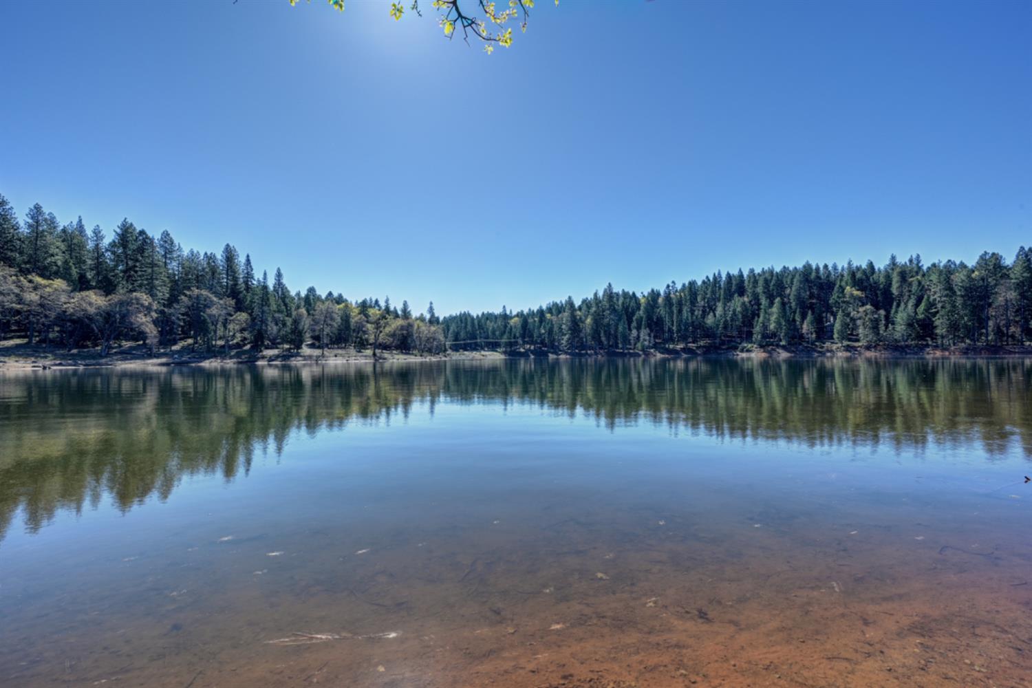 1961 Caprine Hill Trail