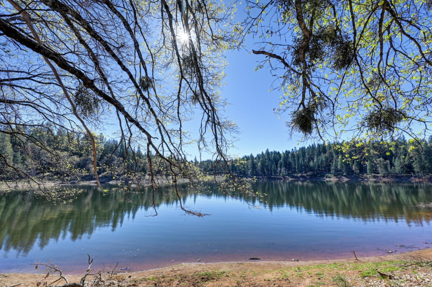 1961 Caprine Hill Trail