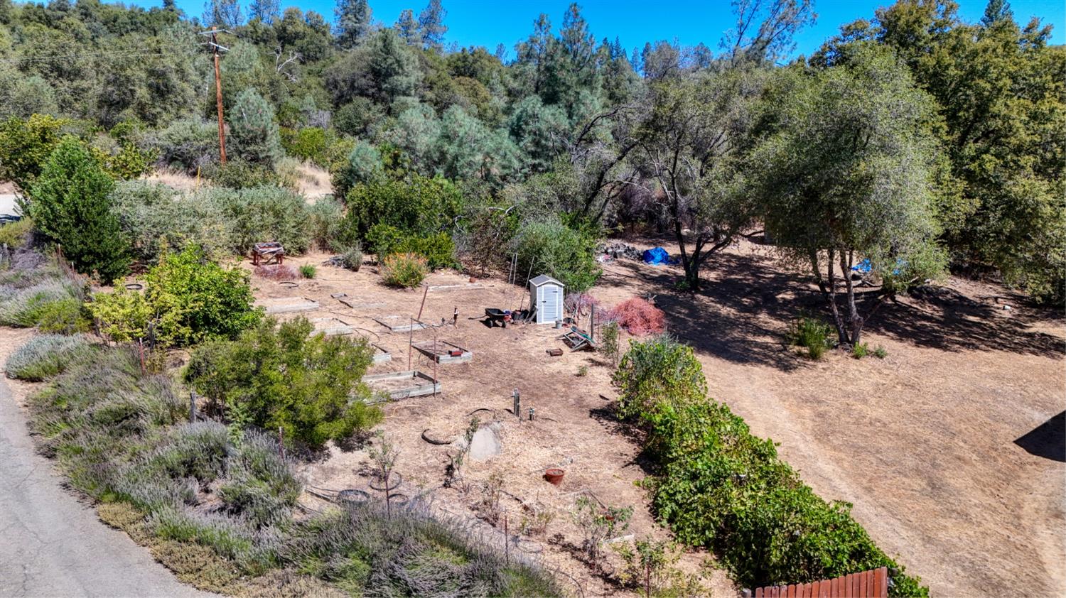 4644 Cosumnes View Trail