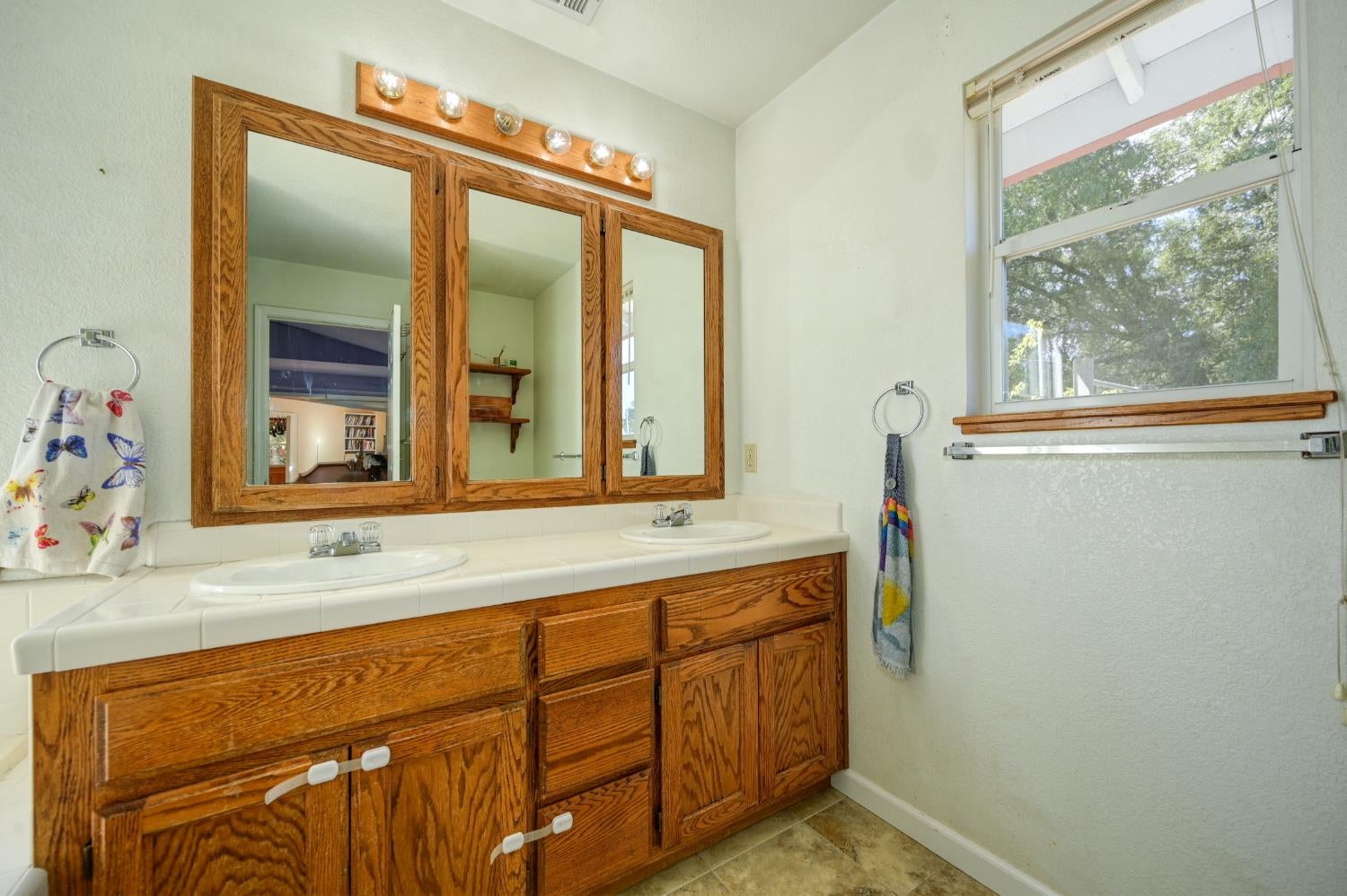 4644 Cosumnes View Trail