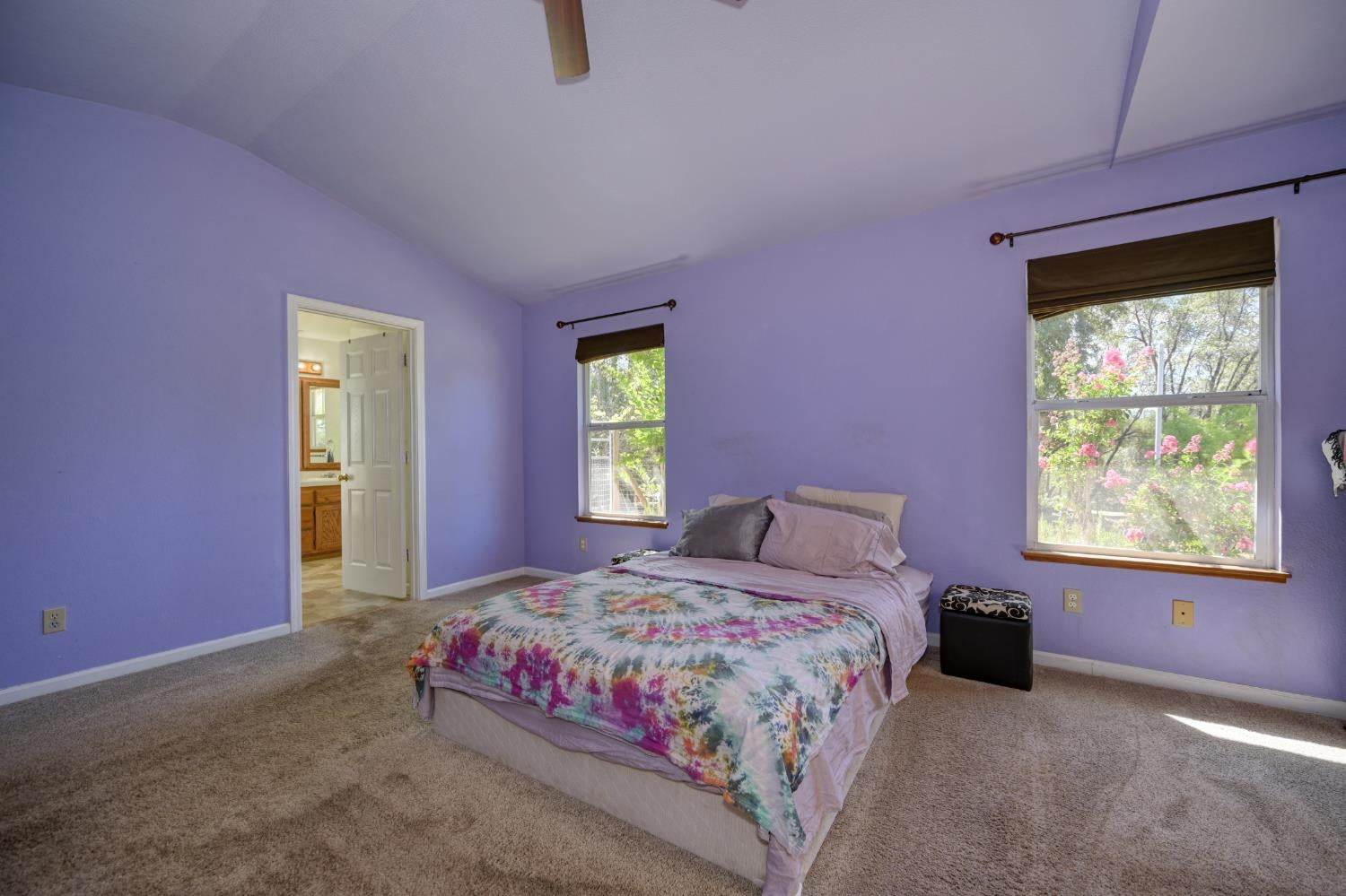 4644 Cosumnes View Trail