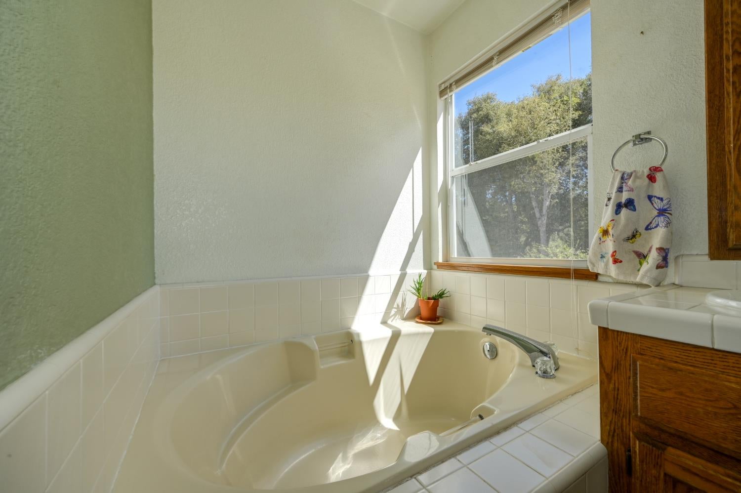 4644 Cosumnes View Trail