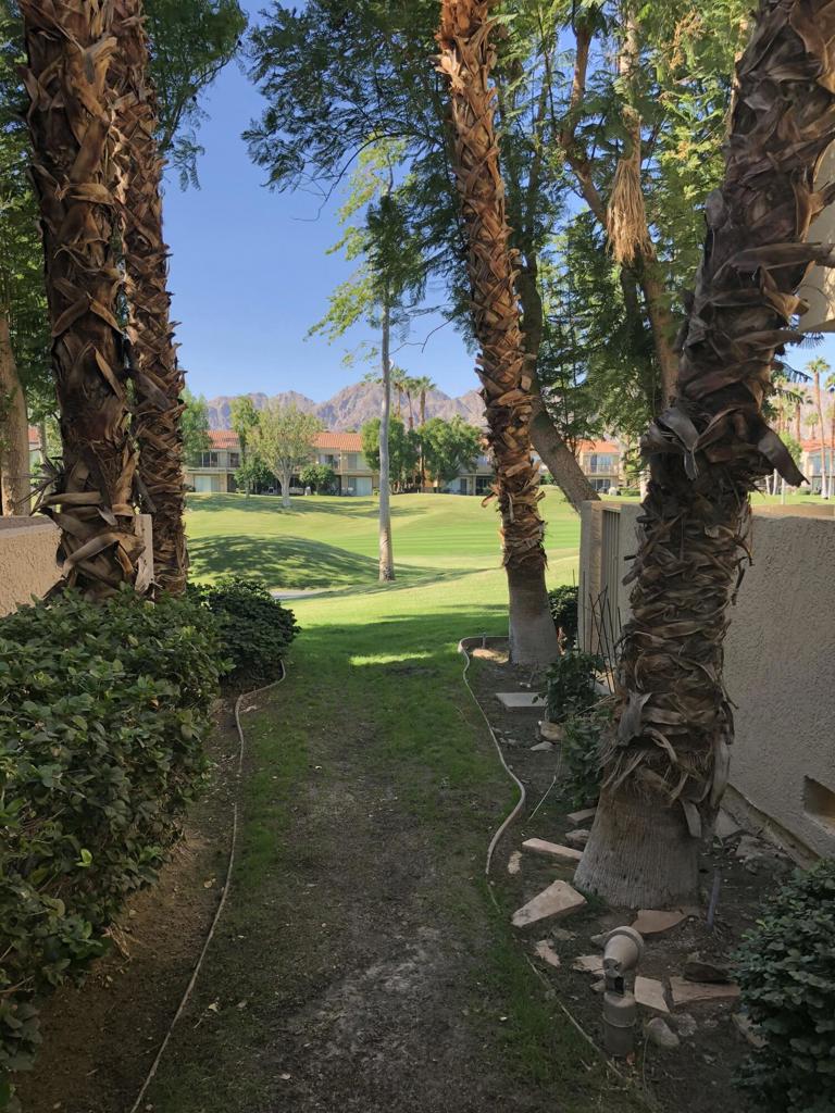 55371 Winged Foot